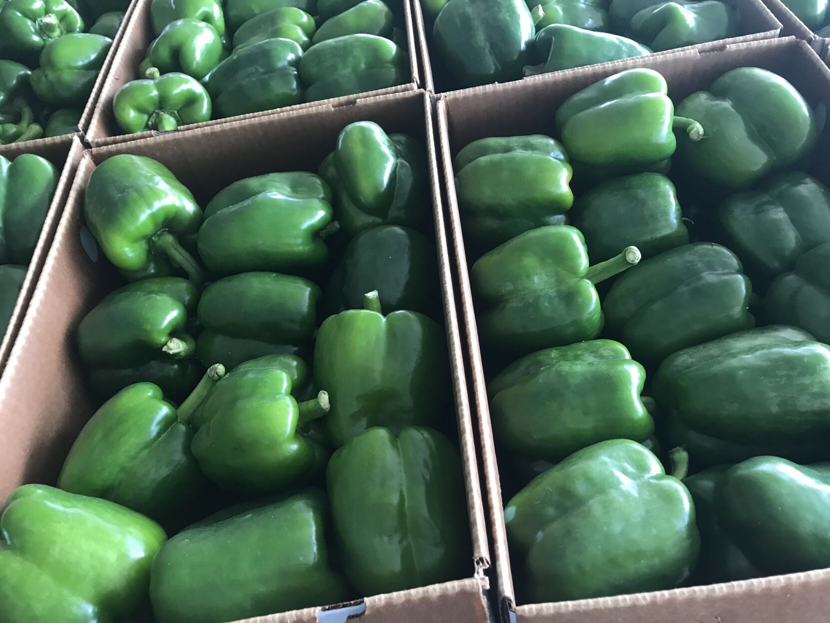 Leola Produce Auction 5